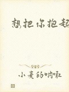 想把你抱起来撞