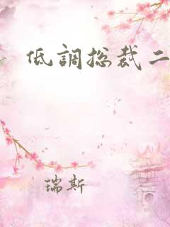 低调总裁二手妻