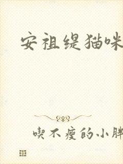 安祖缇猫咪抱抱