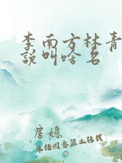 李南方林青青小说叫啥名