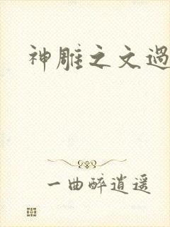 神雕之文过饰非