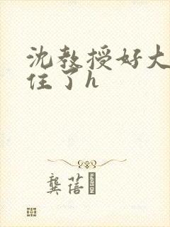 沈教授好大含不住了h