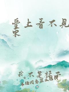 爱上看不见的房东