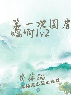 第一次圆房～h嗯啊1v2