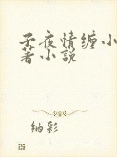 子夜情缠小说原著小说