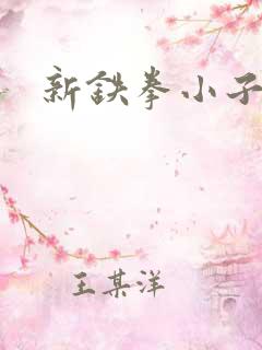 新铁拳小子