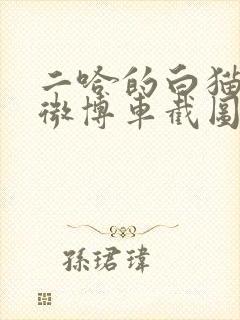 二哈的白猫师尊微博车截图