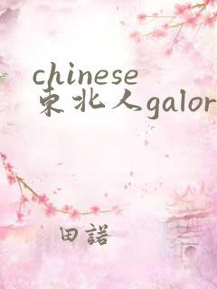 chinese东北人galore