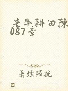 老牛耕田陈雪1087章