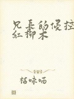 兄长的侵控by红柳木