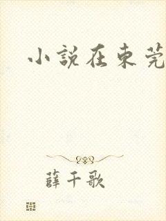 小说在东莞