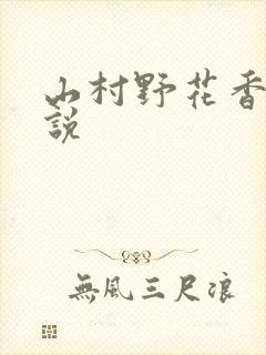 山村野花香 小说