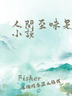 人间至味是清欢小说