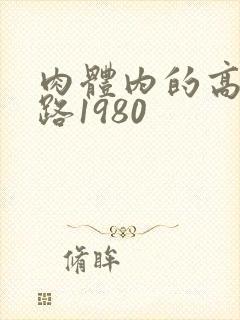 肉体内的高速公路1980