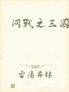 网战之三国霸业