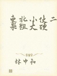 东北小伙二十厘米粗大硬