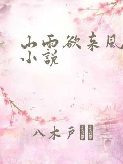 山雨欲来风满楼小说