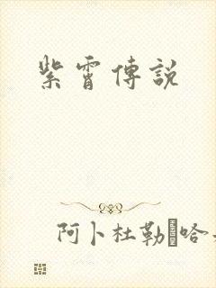 紫霄传说
