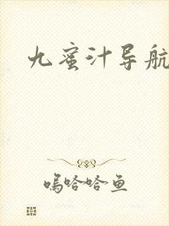 九蜜汁导航