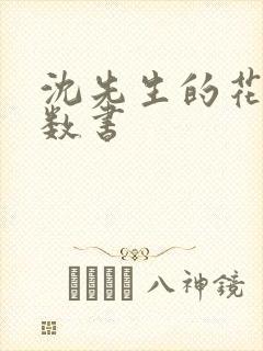 沈先生的花式调数书