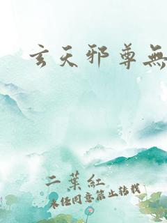 玄天邪尊无弹窗