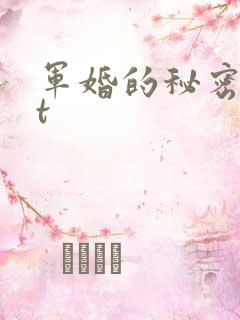 军婚的秘密txt