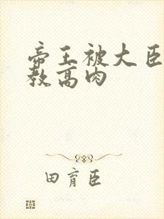 帝王被大臣们调教高肉