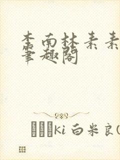 李南林素素小说笔趣阁