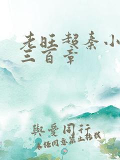 老旺超秦小雨第三百章