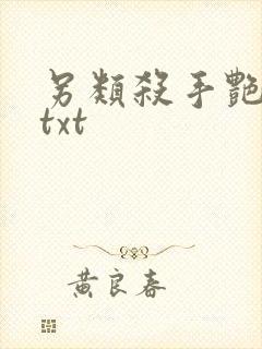 另类杀手艳福星txt