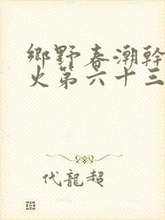 乡野春潮干柴烈火第六十三章