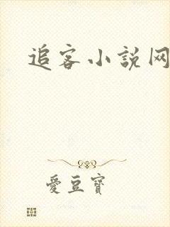 追客小说网
