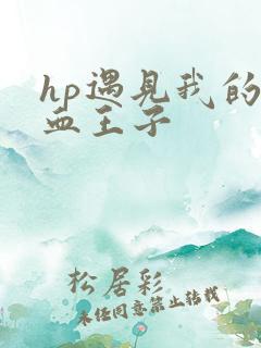 hp遇见我的混血王子