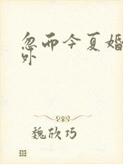 忽而今夏婚后番外