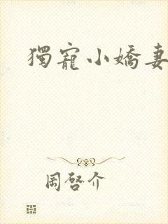 独宠小娇妻
