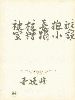 被校长抱进办公室糟蹋小说