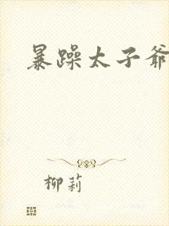 暴躁太子爷