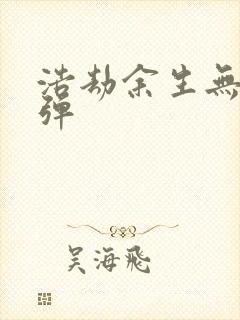 浩劫余生无限子弹