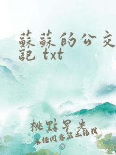 苏苏的公交车日记 txt