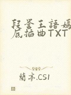 段誉王语嫣在井底插曲TXT