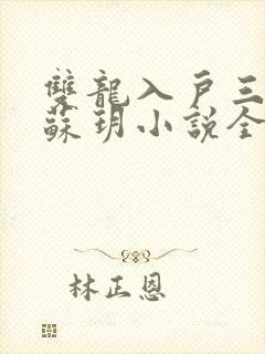 双龙入户三人行苏玥小说全文阅读