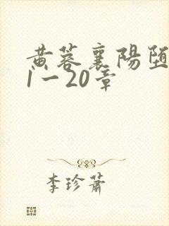 黄蓉襄阳堕落史1一20章