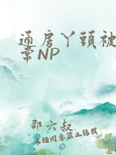 通房丫头被肉日常NP