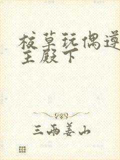 校草玩偶遵命公主殿下