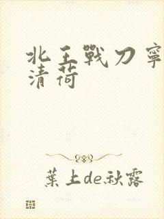 北王战刀宁北苏清荷