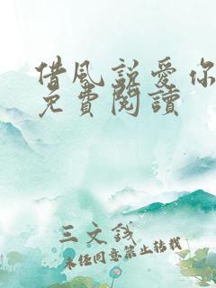 借风说爱你小说免费阅读