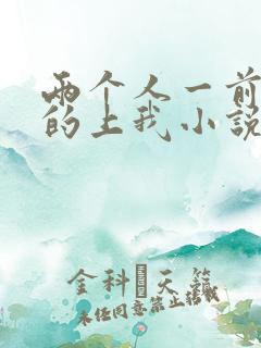 两个人一前一后的上我小说