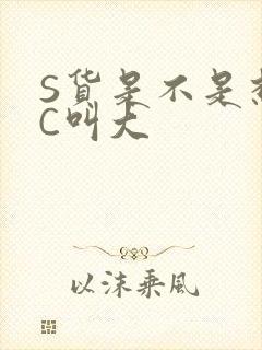 S货是不是想挨C叫大