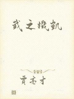 武之机凯