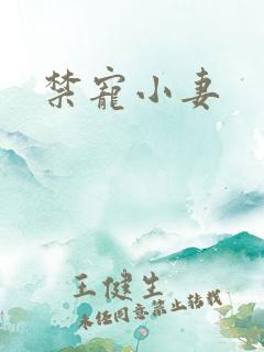 禁宠小妻